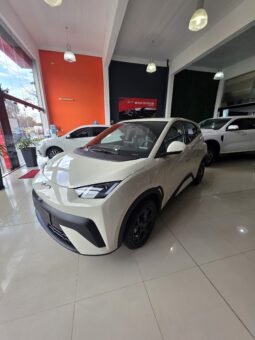 BYD DOLPHIN MINI OKM 25000 U$S lleno