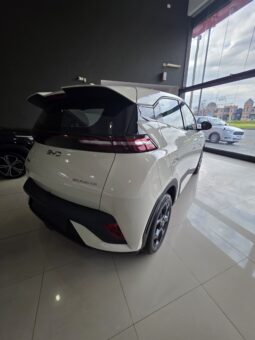 BYD DOLPHIN MINI OKM 25000 U$S lleno