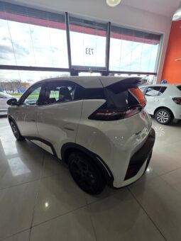 BYD DOLPHIN MINI OKM 25000 U$S lleno