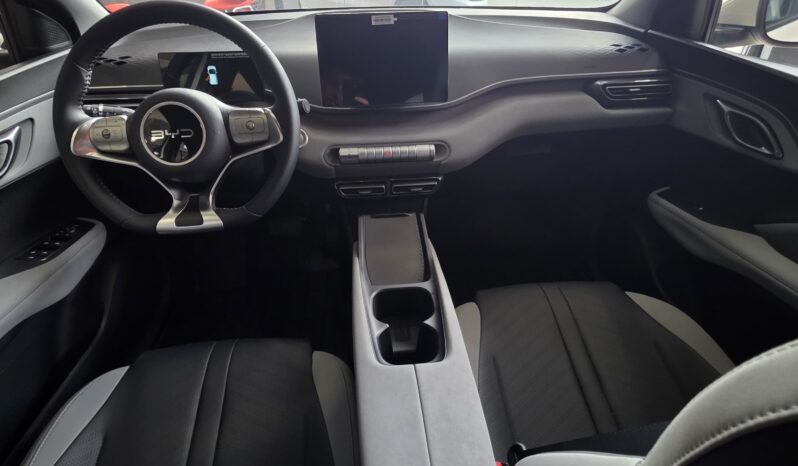 BYD DOLPHIN MINI OKM 25000 U$S lleno