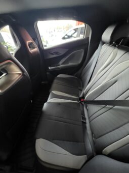 BYD DOLPHIN MINI OKM 25000 U$S lleno