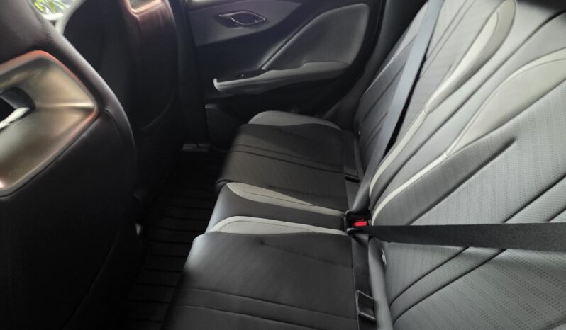 BYD DOLPHIN MINI OKM 25000 U$S lleno