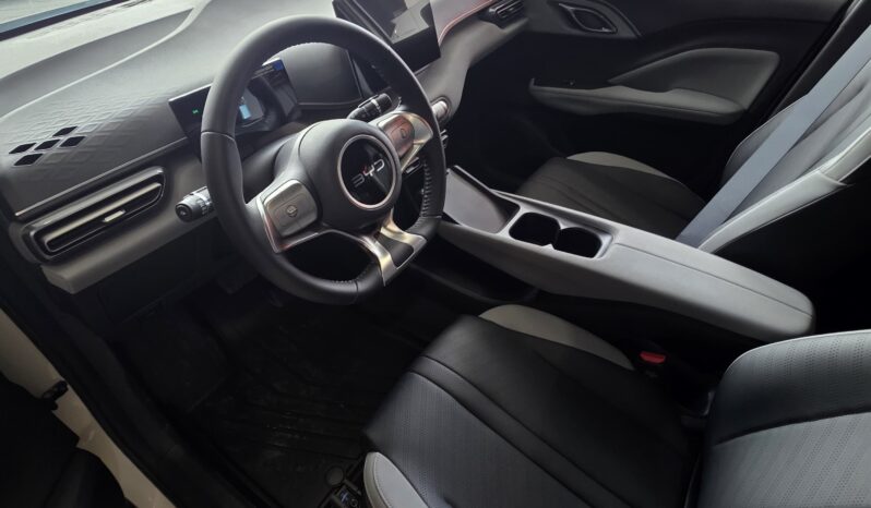 BYD DOLPHIN MINI OKM 25000 U$S lleno
